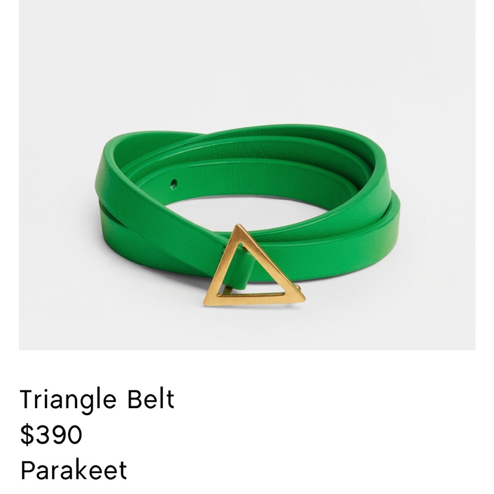Bottega veneta gold detail belt. Pristine condition.